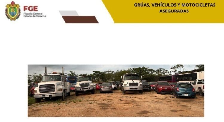 Aseguran más de 230 vehículos tras cateos realizados en Veracruz