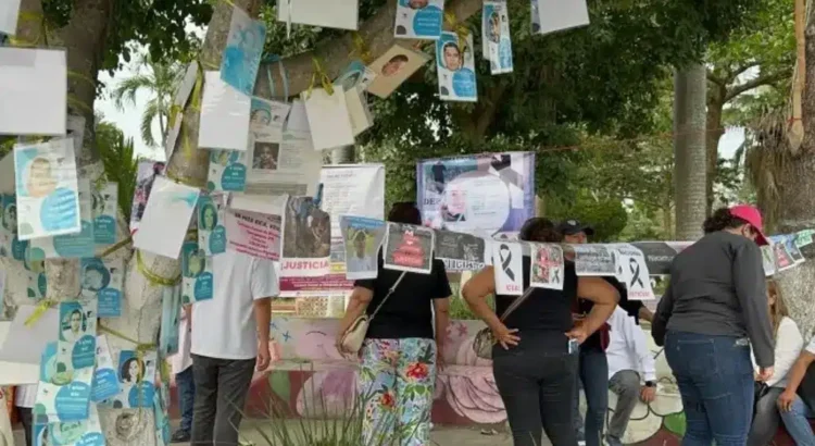 Madres buscadoras de Veracruz desean conocer indicios del rancho Izaguirre de Teuchitlán