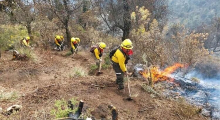 Incendio consume una hectárea de vegetación en Nogales