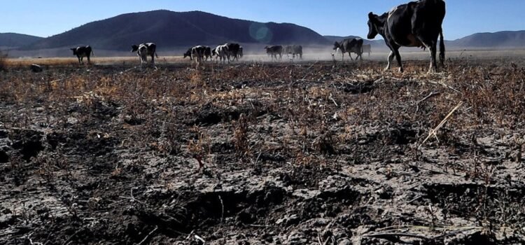 Declara la Conagua 22 municipios en sequía y 60 más anormalmente secos