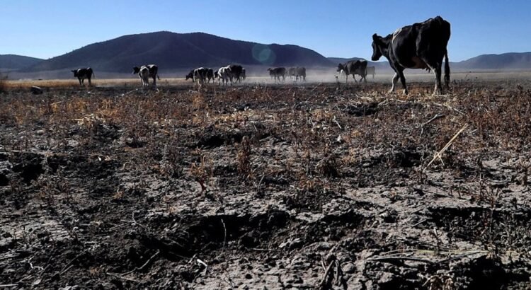 Declara la Conagua 22 municipios en sequía y 60 más anormalmente secos