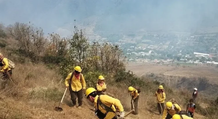 Reporta PC 60% de control y 40% de liquidación de incendio forestal en Aquila, Veracruz