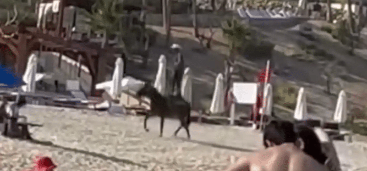 Jinete sorprende con acrobacias a caballo en playa cabeña
