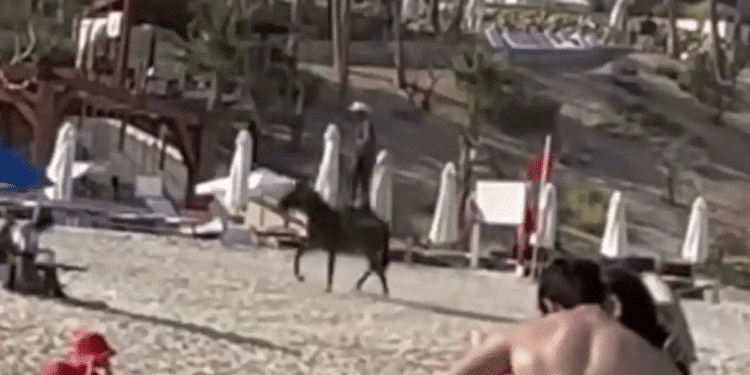 Jinete sorprende con acrobacias a caballo en playa cabeña