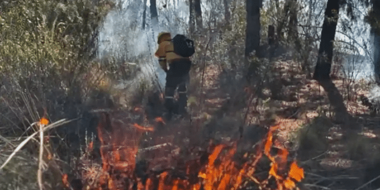 Temporada de Incendios Forestales 2025, la segunda más crítica de la historia