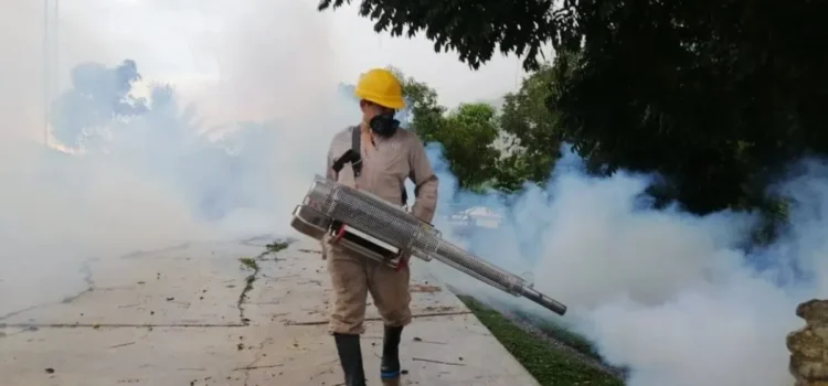 Con 831 casos, sigue Veracruz entre los estados con mayor carga de dengue