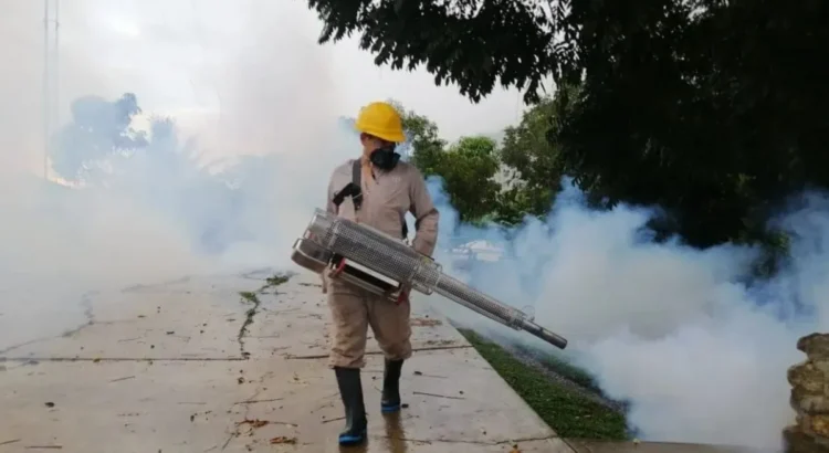 Con 831 casos, sigue Veracruz entre los estados con mayor carga de dengue