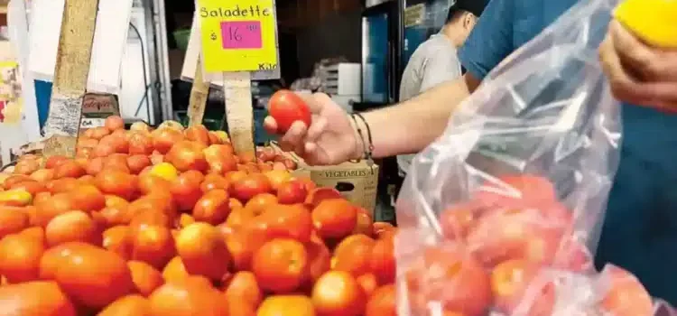 No hay país que pueda sustituir a México en la producción de tomate No hay país que pueda sustituir a México en la producción de tomate