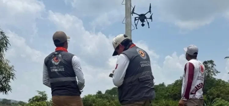 Revisan condiciones de palos para ritual de los voladores en Papantla