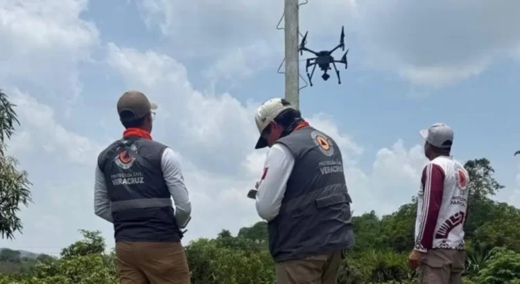 Revisan condiciones de palos para ritual de los voladores en Papantla