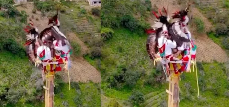 A 20 metros de altura, voladores de Papantla sufren aterrador incidente