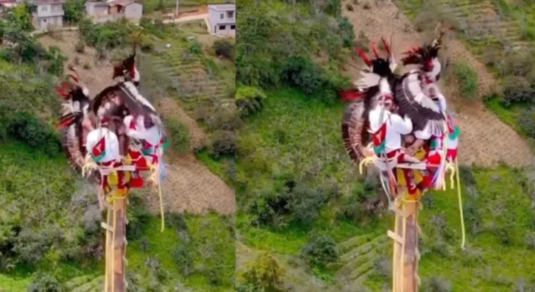 A 20 metros de altura, voladores de Papantla sufren aterrador incidente