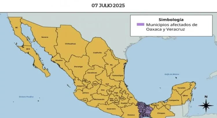 Activan protocolo de emergencia por gusano barrenador en Veracruz; liberan moscas estériles
