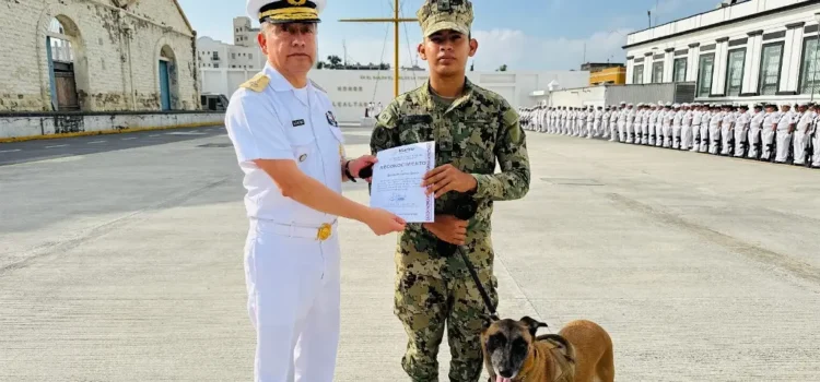 ‘Se jubila’ pastor belga malinois; prestaba sus servicios en la Primera Región Naval