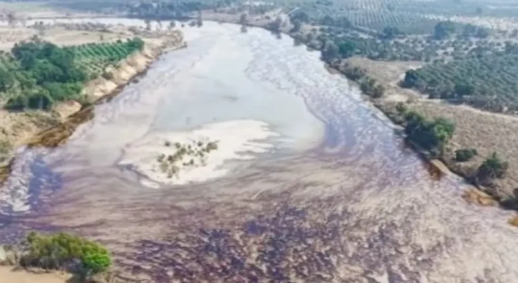 Reportan fuga de hidrocarburo en río Pantepec tras inundaciones en Veracruz Reportan fuga de hidrocarburo en río Pantepec tras inundaciones en Veracruz