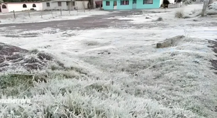 Captan helada la mañana de este lunes. Advierten que frente frío afectará a Veracruz Captan helada la mañana de este lunes. Advierten que frente frío afectará a Veracruz