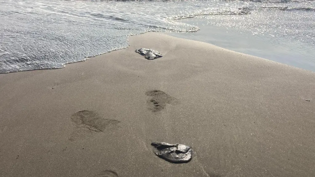 Chapopote sigue contaminando playas de Veracruz; aún se desconoce de dónde proviene