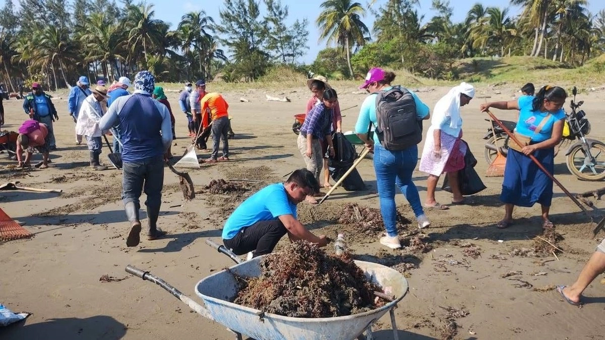 Autoridades abandonan limpieza de derrame de hidrocarburo en playas de Veracruz, denuncian