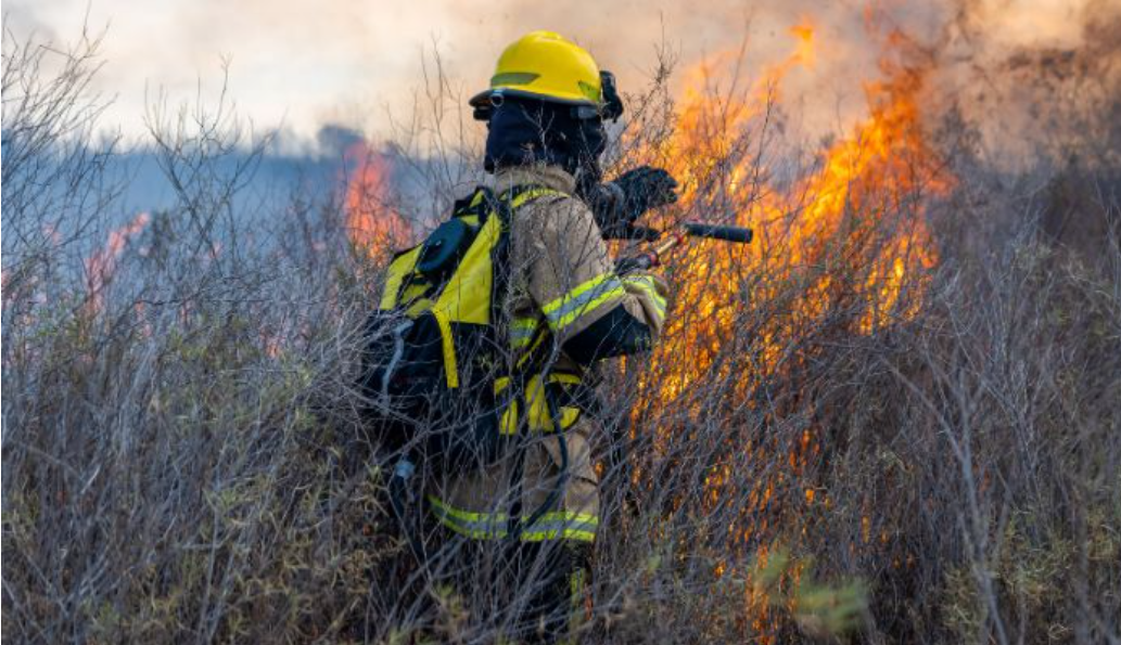 Suman la entidad veracruzana 78 incendios forestales durante 2026, destaca la Conagua
