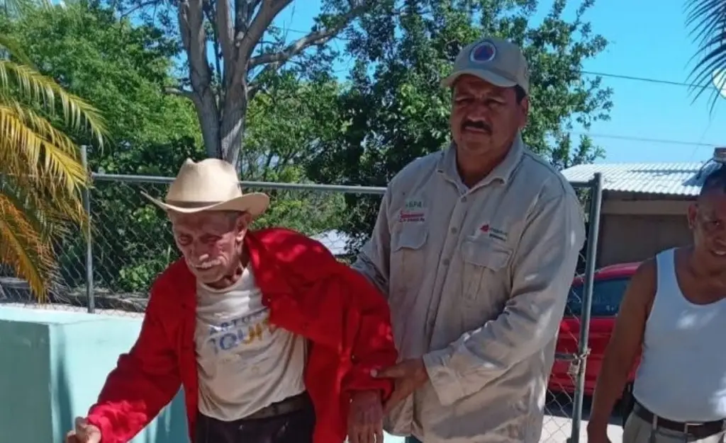 Ataque de abejas en Cazones de Herrera, Veracruz; hay un lesionado y muere un ave