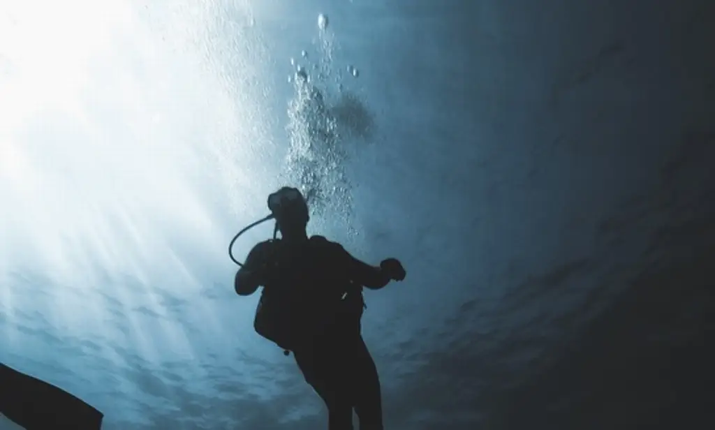 Con todo y buzos; buscan a pescador desaparecido en cenote entre Veracruz y Oaxaca